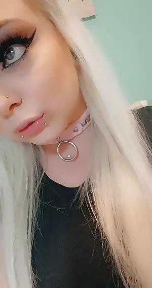 pics collared porn