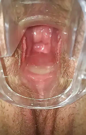 pics lets porn