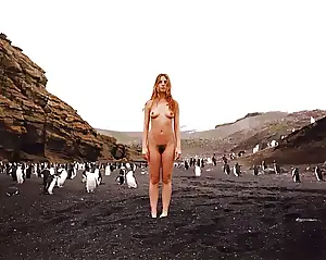 pics antarcti porn