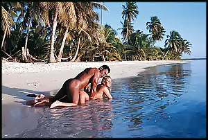 pics paradise porn